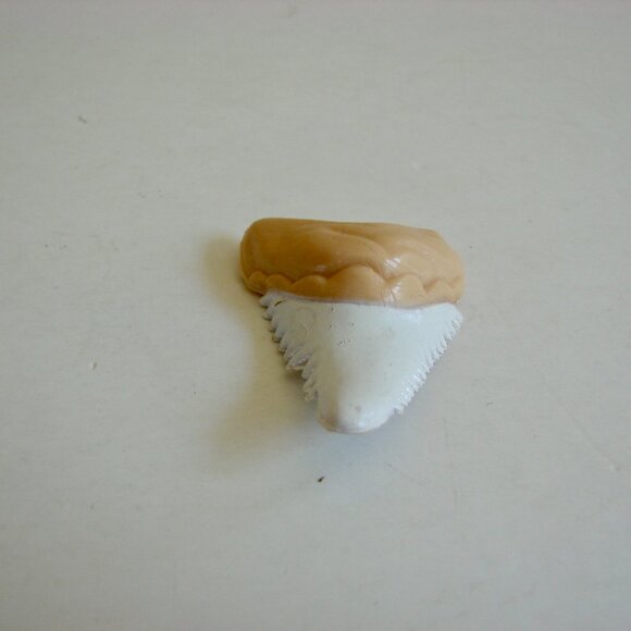 Safari Ltd Animals Marine Ocean Blue Whale Squid Bull Shark Tooth White Shark - Picture 10 of 15